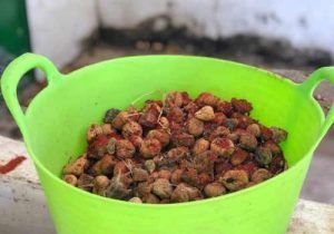 Huevos de calidad producidos de una manera local y honrada, en una granja a tan sólo 80 km de Madrid. Variedad de gallinas en libertad, alimentación natural a base de higos, pimentón de la vera, bellotas, pienso natural y lo que encuentran en el campo. Diferentes tipos de gallinas como la de Guinea.