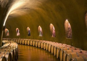 La evolución en el Cultivo de la Vid se debe a las Nuevas Tecnologías. Se busca la calidad del vino con un cultivo y producto ecológico, que favorezca un consumo responsable y sostenible con la Biodiversidad. Viñedos y Bodegas que producen respetando la naturaleza y el Medioambiente.