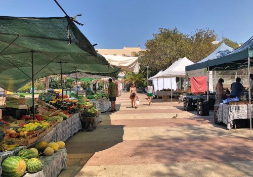 lo-mejor-de-Mallorca-gastronomía-Mercado-Ecológico-Patines