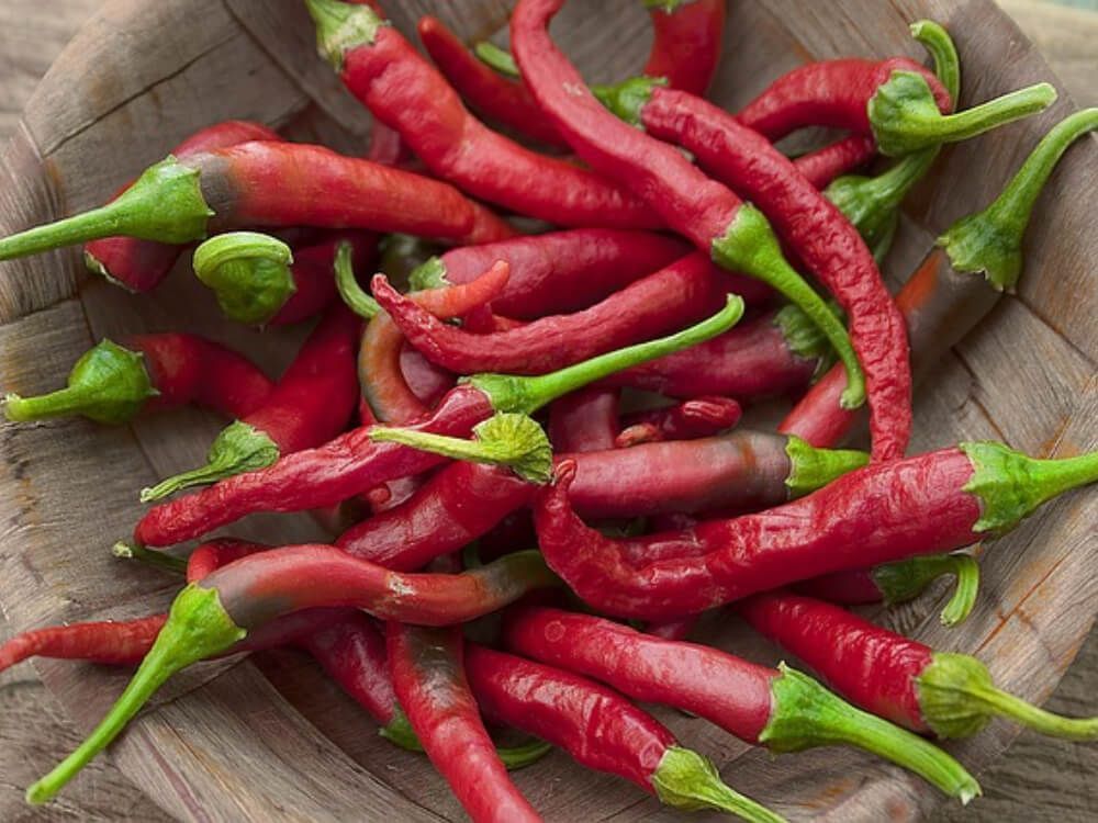 Feria-Fruit-Attraction-Madrid-Chilis