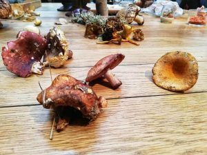 Soria-Gastronómica-2018