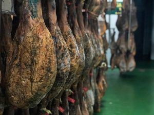 Jamón-Ibérico-Dehesa-de-Solana