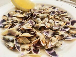 Valencia-Gastronomía-Duna-Tellinas