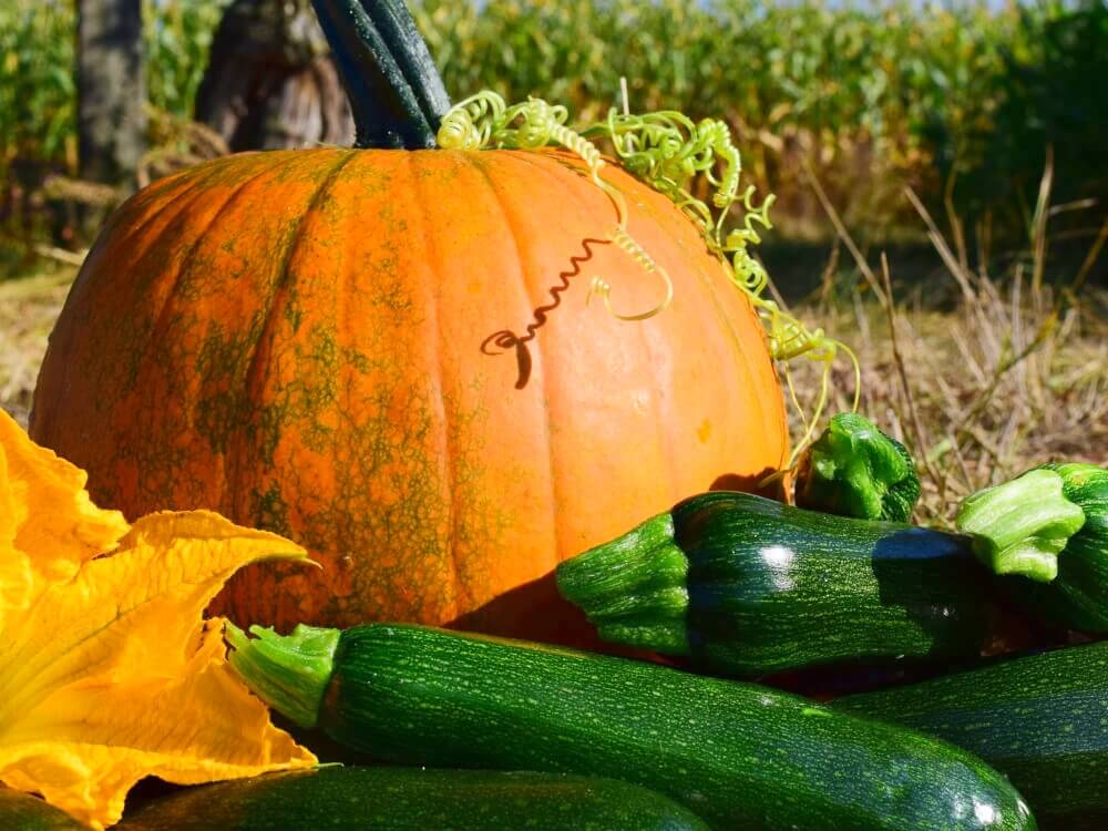 Espaguetis-de-Calabacín-y-Calabaza-con-Langostinos