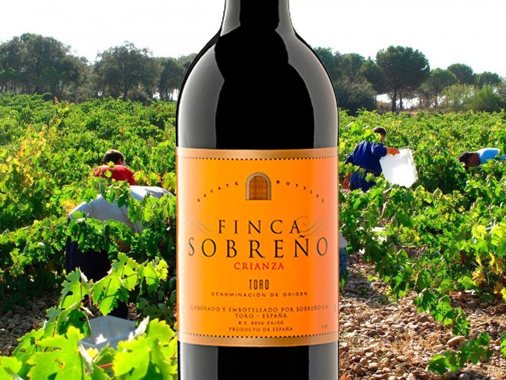BODEGAS SOBREÑO D O TOROCRIANZA BARRICA