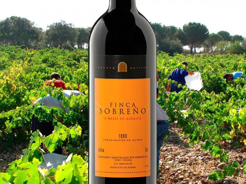 BODEGAS SOBREÑO D O TORO TORO JOVEN