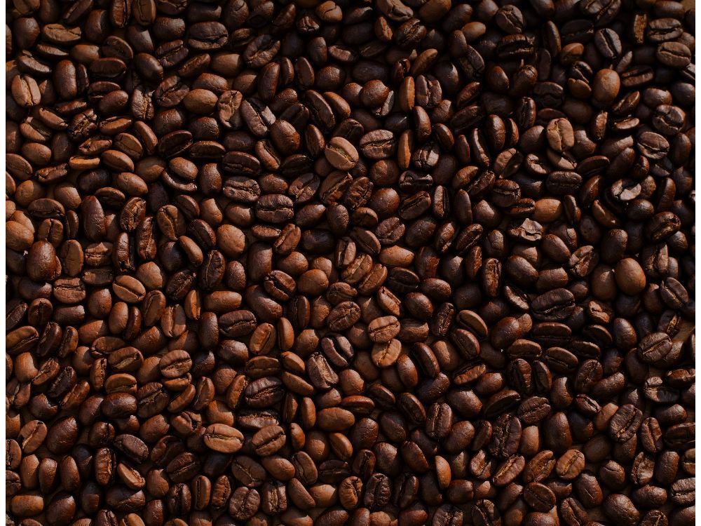 cafetera automática grano café