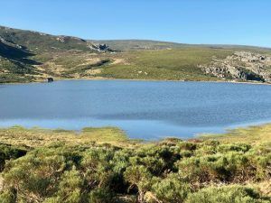 puebla de sanabria gastronomía - laguna peces