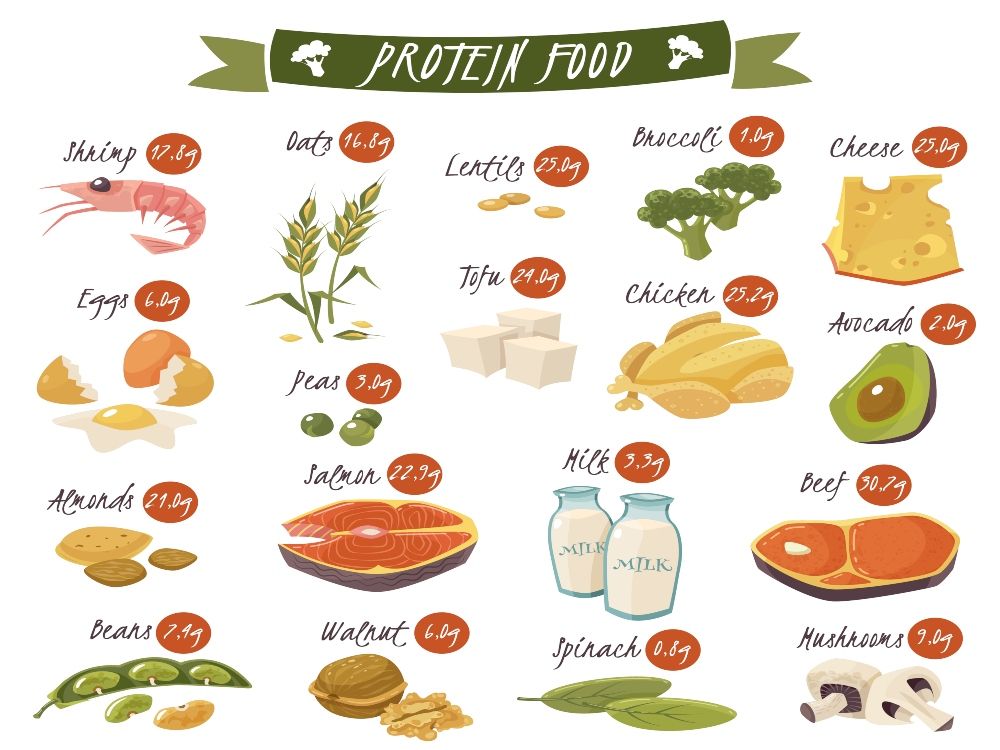 nutrición y deporte proteina