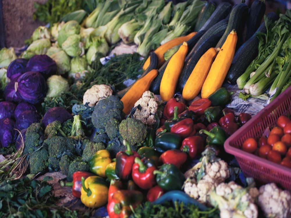 nutrición y deporte vita y mine