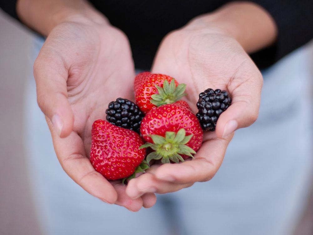 estilos de alimentación paleo frutas