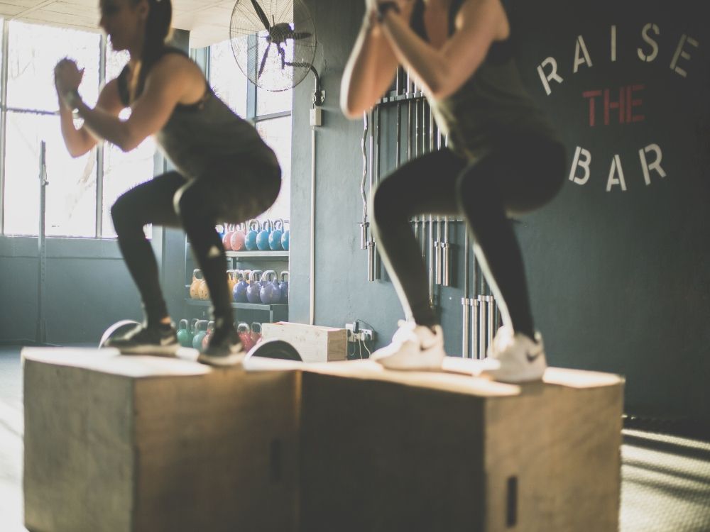 estilos de alimentación paleo training