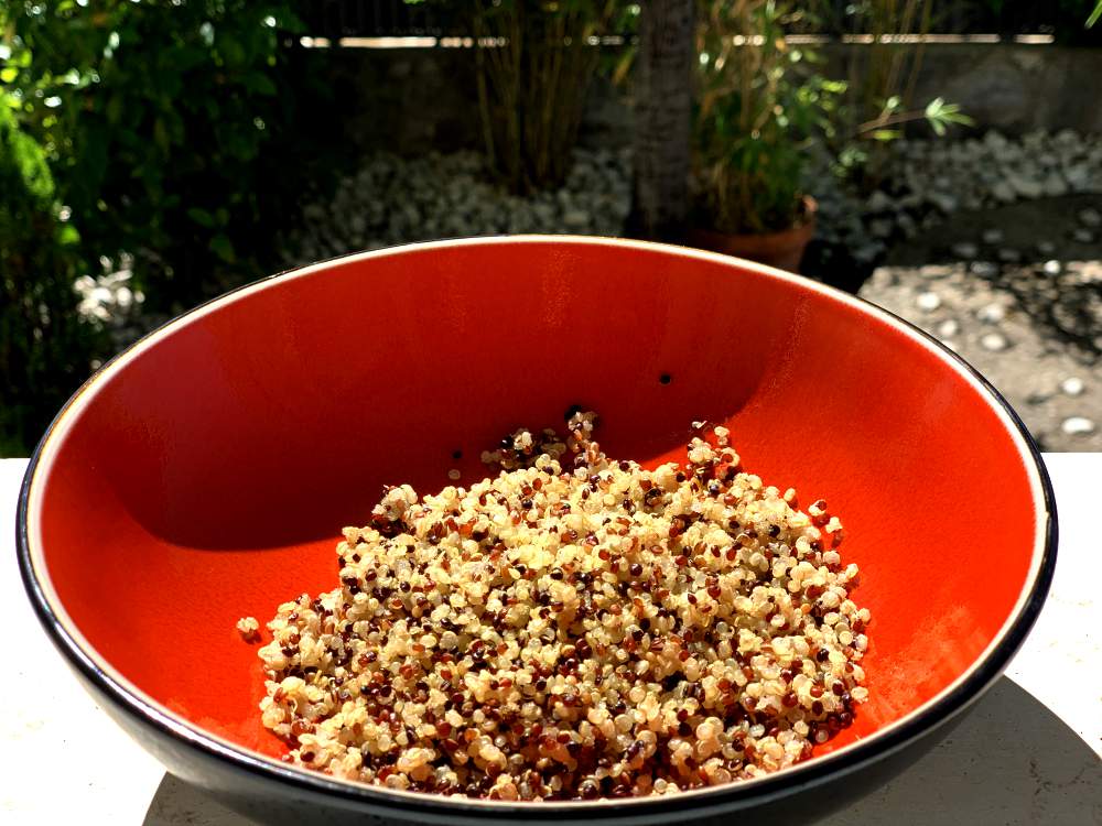 proteínas en los alimentos quinoa