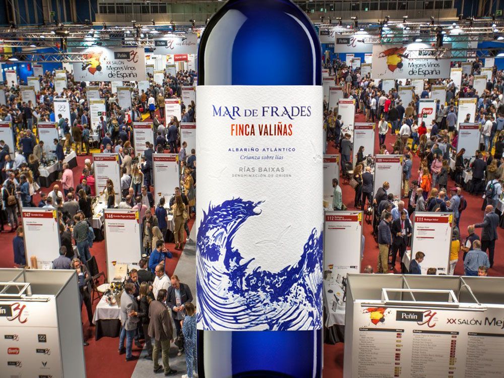 LO MEJOR DEL XX SALÓN DE LOS MEJORES VINOS DE ESPAÑA Albariño