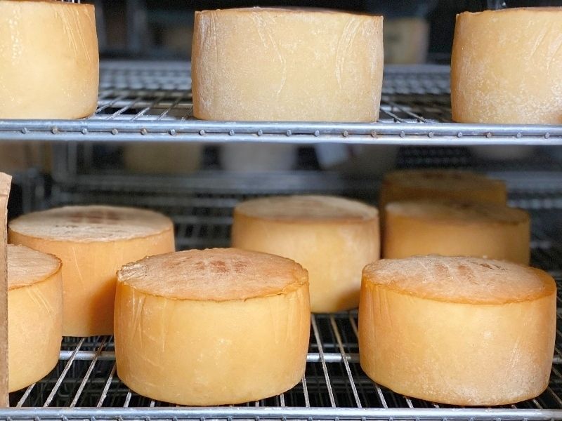 queso idiazábal guipúzcoa