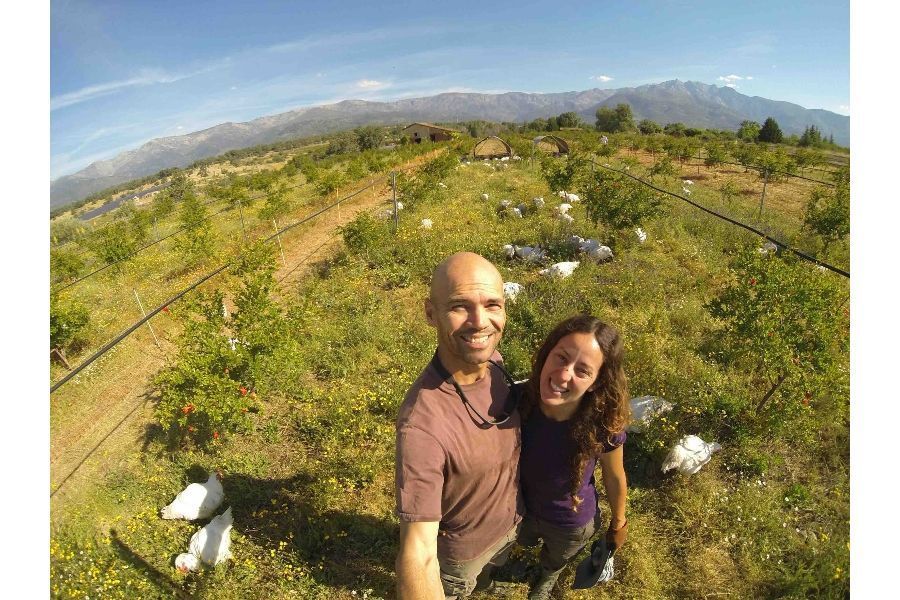 granja compra online GRANJEA