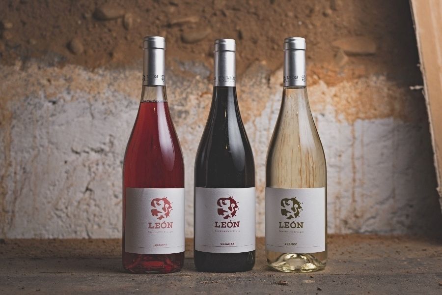 vinos de la D.O. de león
