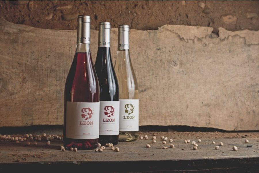 vinos de la D.O. de león