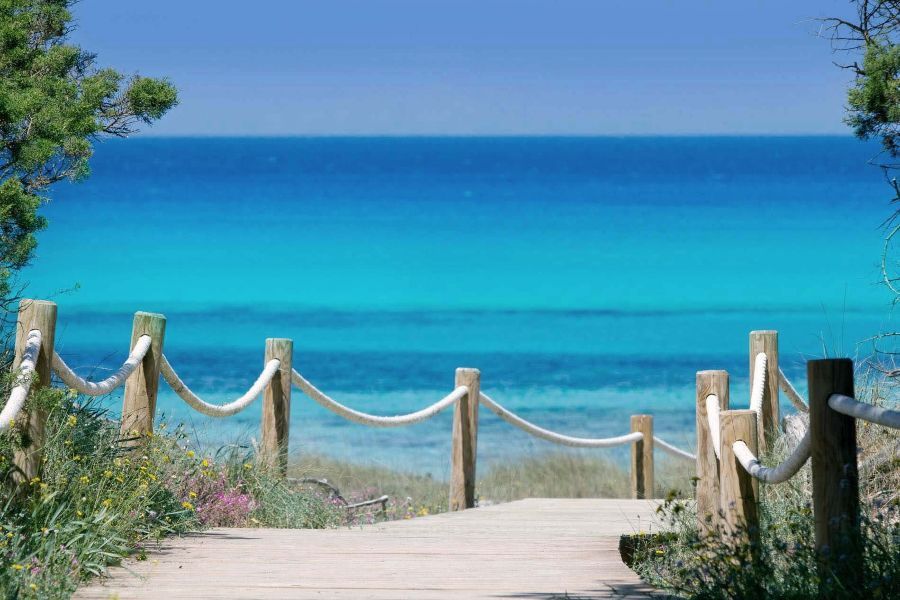 Cavall d’en Borràs-lo mejor de formentera