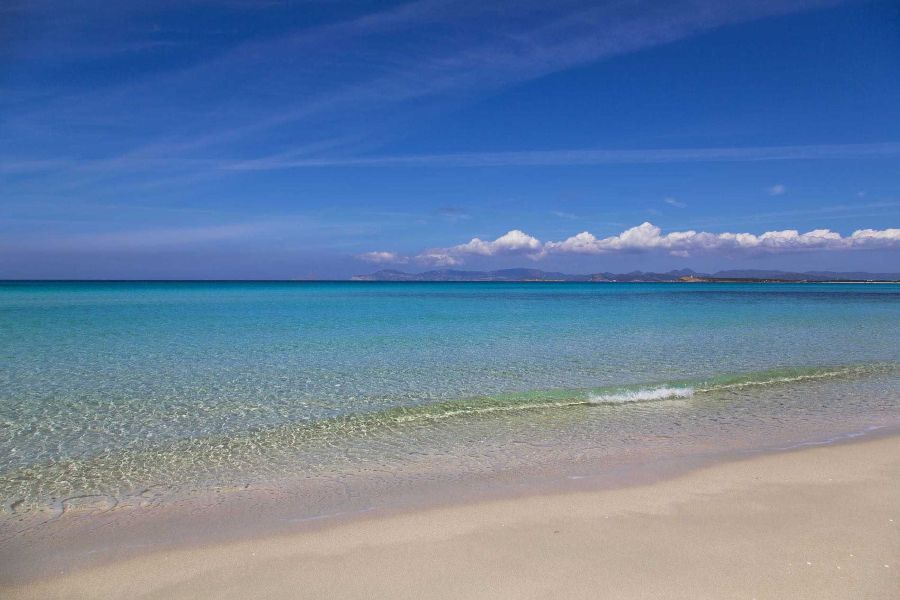 Cavall d’en Borràs-lo mejor de formentera