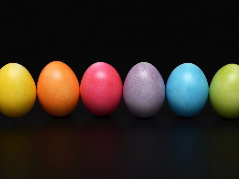 test alimentación tipo color