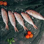 ¿Cuáles son las mejores empresas para comprar pescado y marisco online? pescado online