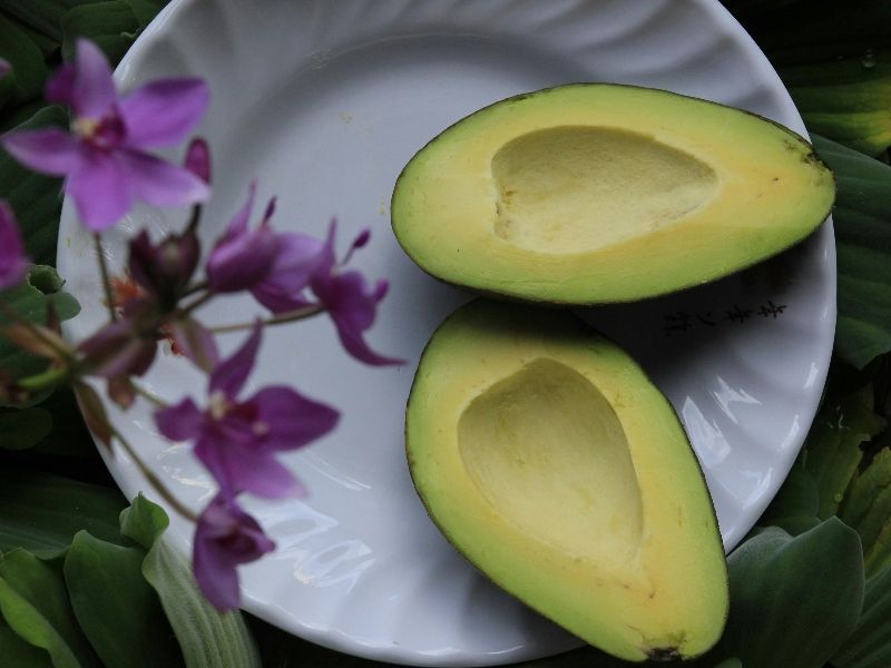 Tostadas de aguacate con huevo escalfado 1