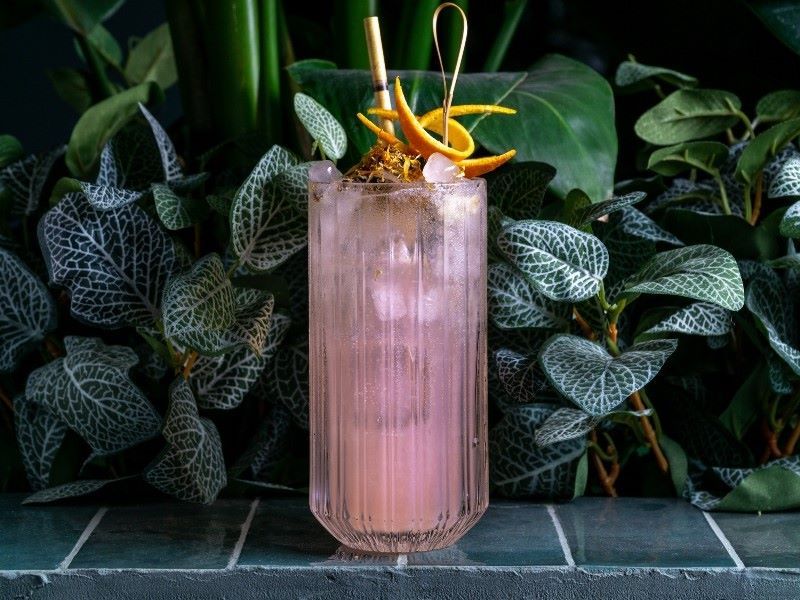 LAS MEJORES TERRAZAS DE MADRID Parque Bar Botanico coctel
