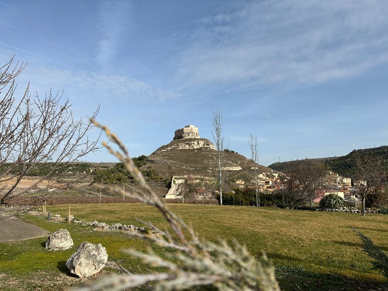Castillo de curiel