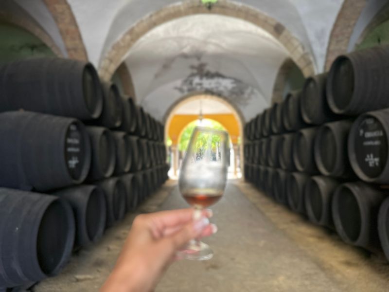 Viajar a jerez de la frontera