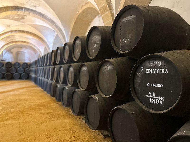 Bodega diez merito viajar a Jerez