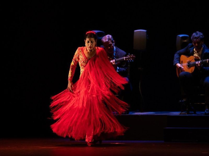 Festival flamenco de jerez