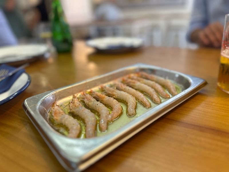 Cerveceria salmedina